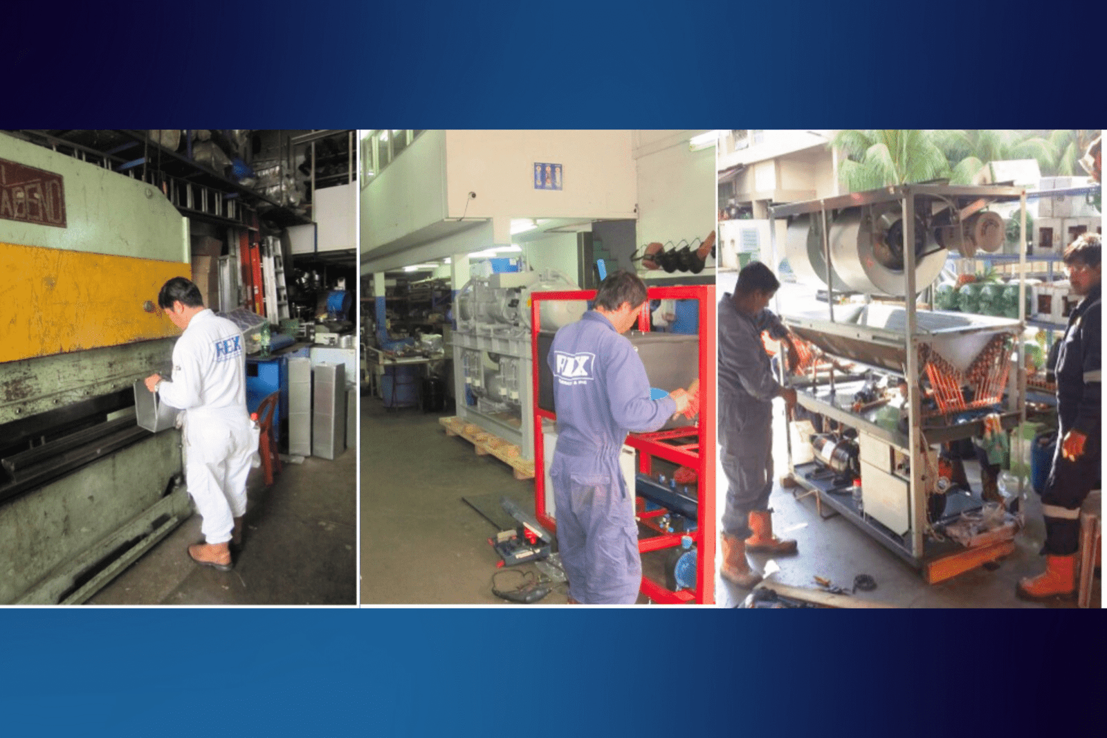 Rex - Production - 1